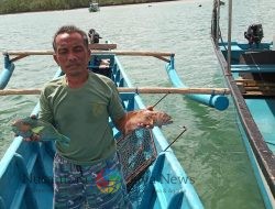 Lewat _Electrifying Marine_, PLN Bantu Nelayan Bangka Belitung Pangkas Biaya Operasional Melaut