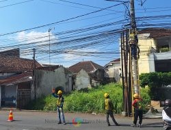 Merajalelanya Kabel Optik Tak Berizin, PLN Icon Plus Melakukan Penataan dan Pendataan Kabel di Tiang PLN Jember