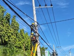 Pembenahan Jaringan Di Situbondo, PLN Icon Plus Melakukan Penataan dan Pendataan Kabel Fiber Optik Ilegal di Tiang PLN