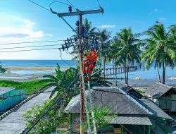 Berikan Kompensasi Listrik Rp 17,8 T ke PLN, Pemerintah Hadir Lindungi Rakyat Dalam Pemulihan Ekonomi