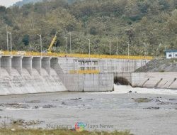 Momentum WWF ke-10, PLN Terus Tingkatkan Kinerja ESG dan Keberlanjutan Melalui Water Management