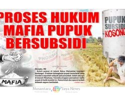 Melebih HET, Harga Pupuk Subsidi Menjerit Petani di Kabupaten Deli Serdang