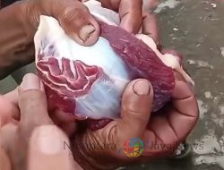 Daging Kurban dengan Lafaz Allah Bikin Warga Heboh