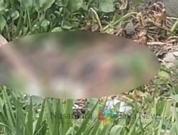 Warga Tarik Sidoarjo Ditemukan Tewas di Sungai Mangetan