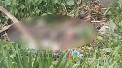 Warga Tarik Sidoarjo Ditemukan Tewas di Sungai Mangetan