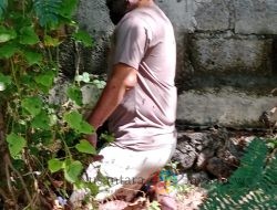 Seorang Lelaki Ditemukan Gantungdiri di Jalan Kedung Cowek