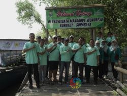 Aksi Peduli Lingkungan PLN Icon Plus: Ekowisata Mangrove Wonorejo Surabaya Mendapat Sorotan