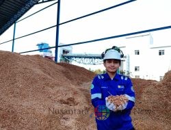 Manfaatkan Potensi Lokal, PLN Gandeng Pemda Jeneponto Olah Limbah Jagung Jadi Bahan Co-Firing PLTU