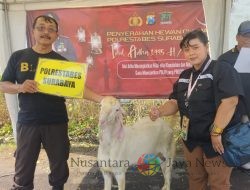 Polrestabes Surabaya Berbagi Hewan Qurban ke PT Karsa Nusantara Jaya