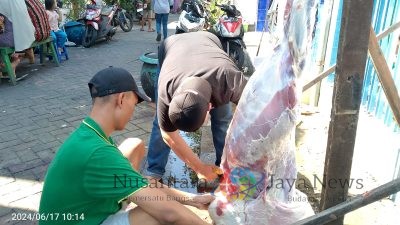 Aksi Sosial PT Karsa Nusantara Jaya,  Kurban untuk Anak Yatim dan Dhuafa