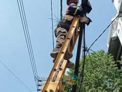PLN Icon Plus Bersama Pemerintah Kota Surabaya Melaksanakan Penataan Jaringan Di Area Kota Lama