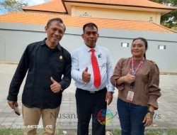 Anjing Liar Penyebab Pertikaian di Denpasar Barat