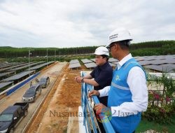 Menteri BUMN Pastikan Energi Hijau untuk HUT RI di IKN dengan Tinjauan PLTS PLN