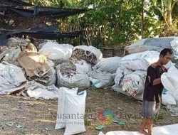 Penggilingan Plastik Pagerluyung Terindikasi Ilegal