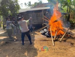 Polres Malang Berhasil Bongkar Dua Arena Sabung Ayam, Komitmen Tegakkan Hukum Terus Diperkuat