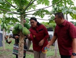 Kepala Kantor Wilayah Kemenkum HAM Bali dan Divisi Pemasyarakatan Tanam Benih Lele dan Panen Pepaya di Rutan Bangli
