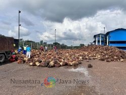 Sambut Ramadhan PLN Suplai Listrik Hijau, PT Inecda Plantation Serap 592 Unit REC