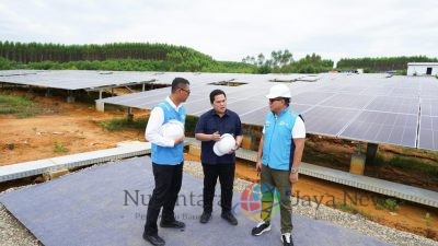 Komitmen Transisi Energi, PLN Raih Anugerah Ekonomi Hijau untuk Infrastruktur EBT Ramah Lingkungan
