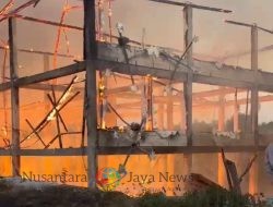 Kebakaran Hebat Hanguskan Kandang Ayam di Sampang, Kerugian Capai Rp 750 Juta