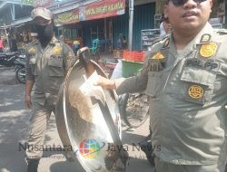Minyak Panas dan Kursi Hilang, Drama Satpol PP Vs PKL Pucang Anom