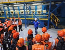 PLN Borong 5 Human Capital Excellence Awards dari Brandon Hall, Amerika