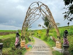 Kolaborasi Internasional Ciptakan Karya Seni dari Bambu di Bali