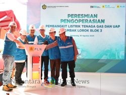 Pemprov Jateng: PLTGU Tambak Lorok Blok 3 Milik PLN Dorong Pertumbuhan Investasi