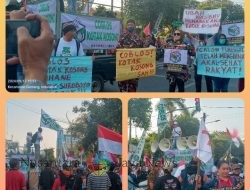 Kotak Kosong Jadi Harapan Baru, Surabaya Bangkit Lawan Calon Petahana Eri-Armuji