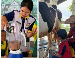 Dairyland Farm Theme Park Prigen: Wahana Edukasi dan Rekreasi Bertema Sapi di Pasuruan
