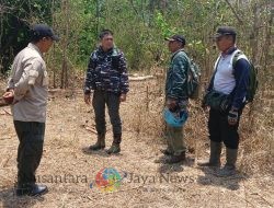 Program “Trabas Buana” Perhutani Bondowoso Intensif Pantau Produksi Kayu di Akhir Tahun 2024