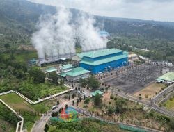 PLN Gandeng PGE Bentuk Konsorsium Kembangkan Pembangkit Listrik Panas Bumi