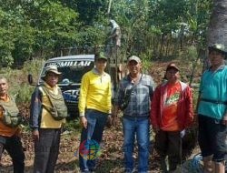 Tim “Trabas Buana” Kawal Kegiatan Tebang Habis di BKPH Sumber Wringin, Perum Perhutani Bondowoso Pastikan Produksi Aman