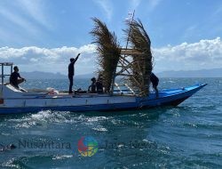 Berdampak Signifikan, Program CSR PLN Borong Penghargaan di Asian Impact Awards 2024