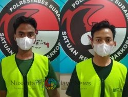 Dua Pria di Surabaya Ditangkap karena Bisnis Tembakau Gorila
