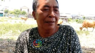 DITUDUH MEMBERIKAN KETERANGAN PALSU MADE SELEPEG DI ANCAM PIDANA 2 THN