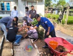 Perhutani Sukosari Berikan Bimbingan Pengadaan Bibit Generatif kepada Mahasiswa Politeknik Pertanian Kupang