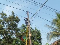 PLN Icon Plus Menata Kabel di Tiang PLN Kota Surabaya Guna Menjaga Keandalan Layanan