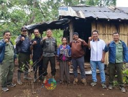 Administratur Perhutani KPH Bondowoso Tinjau Lapangan, Pastikan Produksi Sesuai Target Menjelang Akhir Tahun