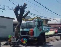 Mobil Kontainer Beton Parkir Liar, Penegakan Hukum Kedung Cowek Seperti Mimpi di Siang Bolong