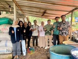 Solusi Limbah Kulit Kopi, Dosen FEB Unesa Ciptakan Pupuk dan Teh Cascara yang Ramah Lingkungan