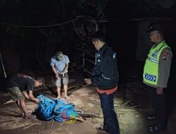 Polres Nganjuk Bongkar Lokasi Diduga Tempat Judi Sabung Ayam di Ngronggot, Kapolres: Kami Berkomitmen Memberantas Kegiatan Ilegal