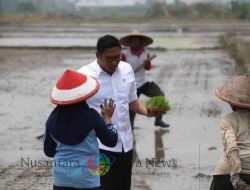 Wamentan: Program Cetak Sawah Baru untuk Perkuat Ketahanan Pangan