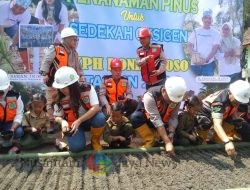 Perhutani Jatim Gelar Reboisasi Massal dengan Penanaman 50 Ribu Bibit Pinus, Upaya Nyata Hadapi Perubahan Iklim