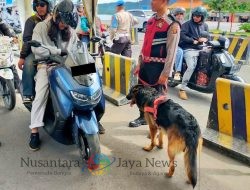 Menjelang Tahun Baru, Satgas Preventif Polda Bali dan Tim K9 Tingkatkan Pemeriksaan di Pintu Masuk