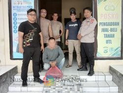 Polsek Kempo Bareng Polsek Abiansemal Bali Tangkap DPO Maling HP Melarikan Diri Ke Dompu