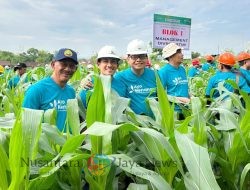 Perhutani Divre Jatim Mulai Program Reboisasi 2024, Komitmen Hijaukan Negeri