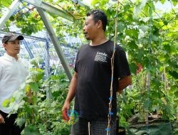 “PLN UIP JBTB Jelang Nataru Dukung KPS Tukad Mati Lestari, Bali Dalam Kepedulian Lingkungan Sungai,”