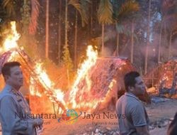 Sarang Narkoba di Sumut Digerebek, Puluhan Pelaku Ditangkap