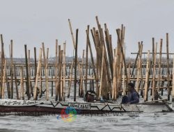Pagar Laut di Bekasi Dalam Proses Lidik di Bareskrim Polri