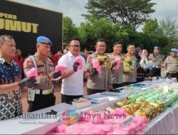 Sebanyak 145Kg Narkotika Berhasil Dimusnahkan di Sumut